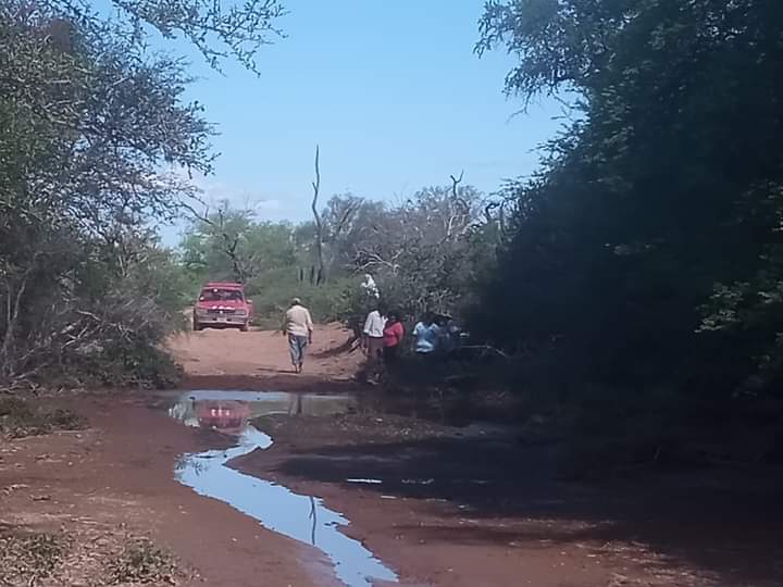 CUANDO INTENTAR VOLVER A CASA SE CONVIERTE EN UNA OSADÍA